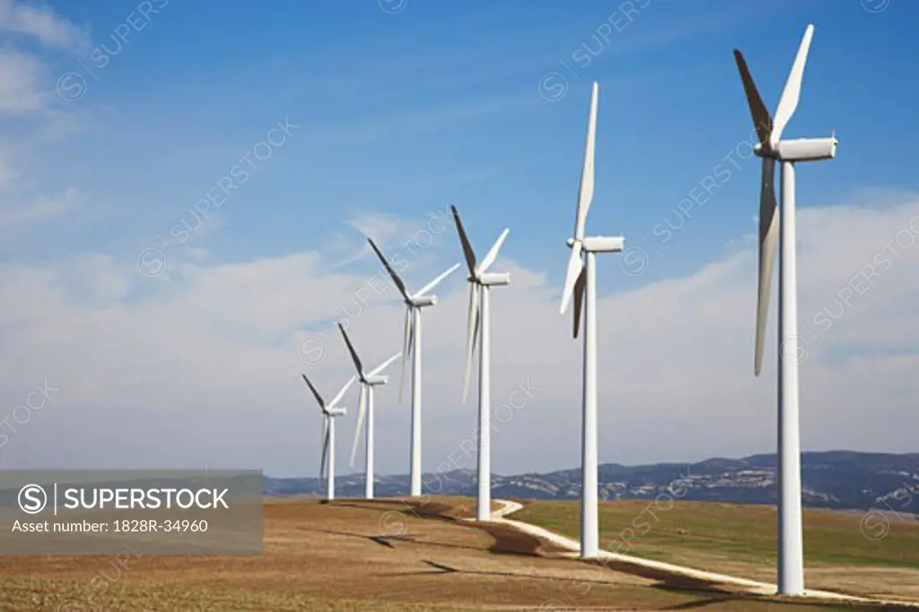Wind Turbines in Field   