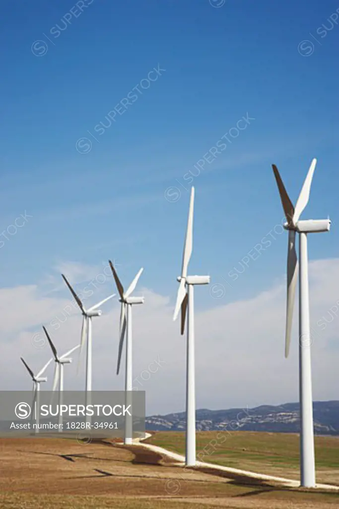 Wind Turbines in Field   
