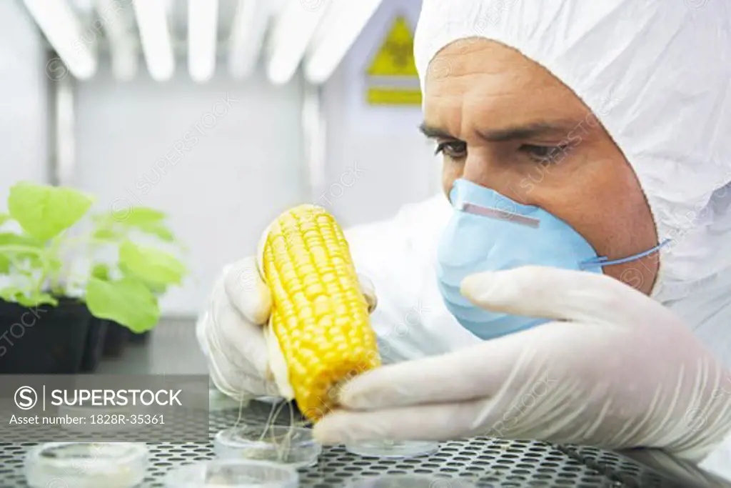 Scientist Examining Food   