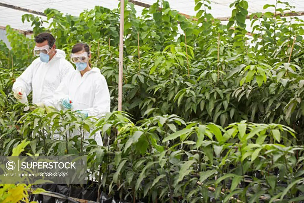 Scientists in Greenhouse   