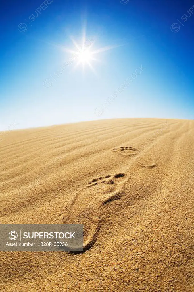 Footprints in Desert Sand   