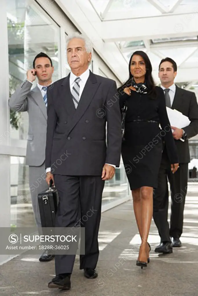 Group of Business People   