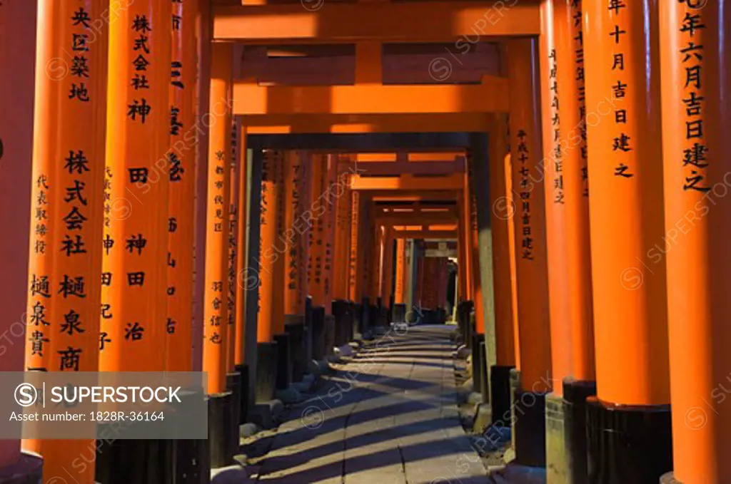 Torii Gateways, Fushimi Inari Taisha Shrine, Kyoto, Kansai, Honshu, Japan