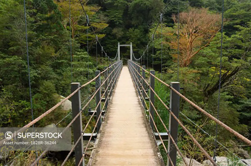 Suspension Bridge, Yakushima, Kyushu, Japan   