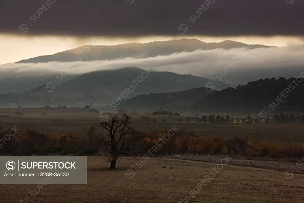 Overview of Fields and Hills, Santa Ynez Valley, Southern California, USA   