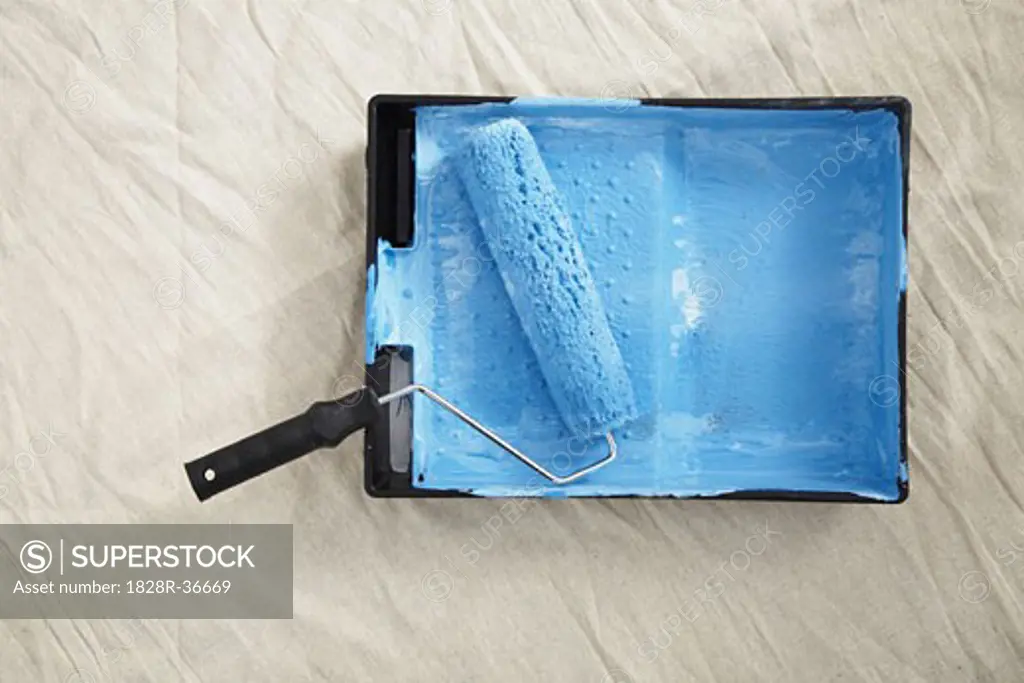 Paint Roller and Tray   