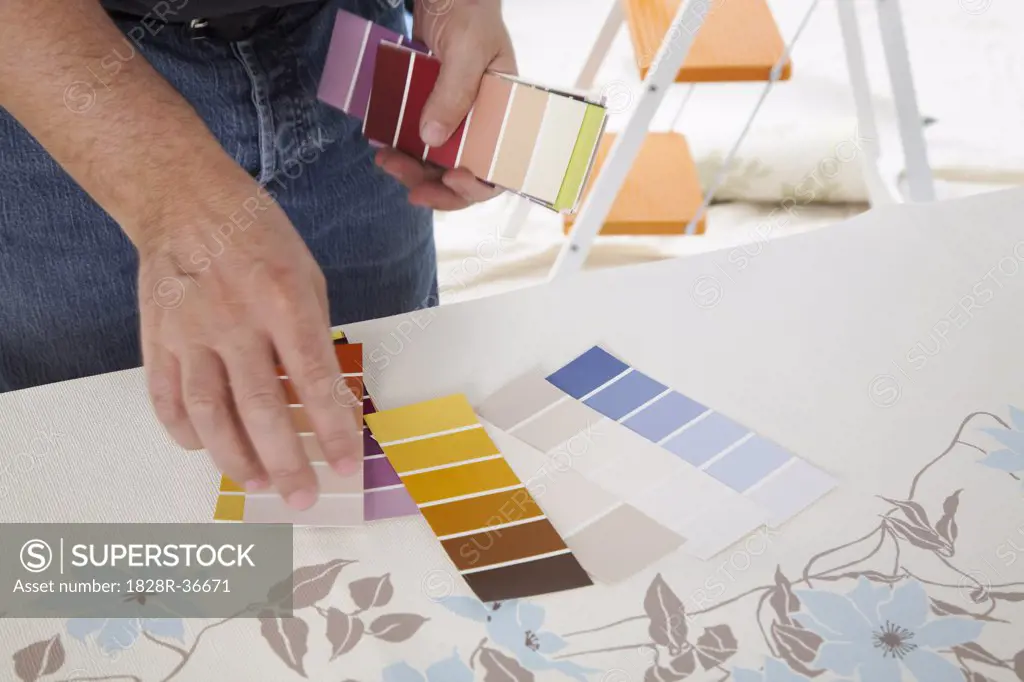Man with Paint Swatches and Wallpaper   