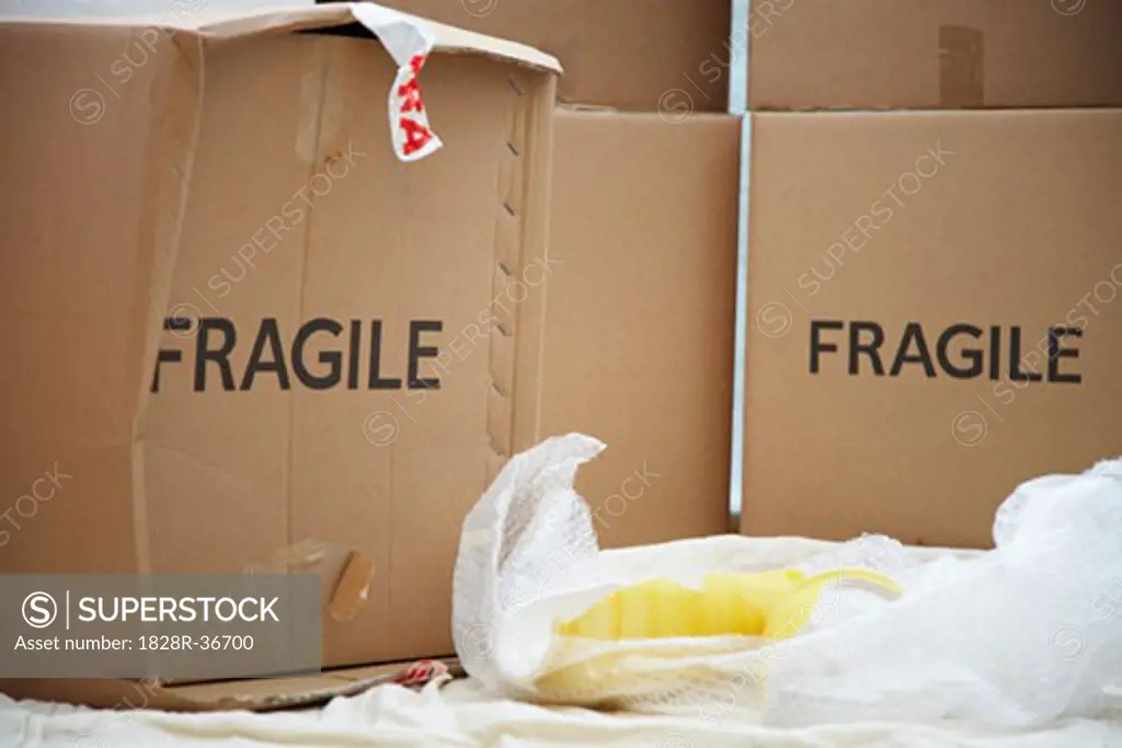 Broken Vase and Moving Box   