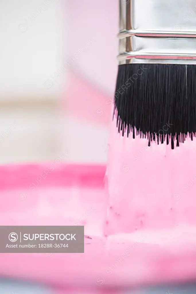 Close-Up of Brush in Pink Paint   