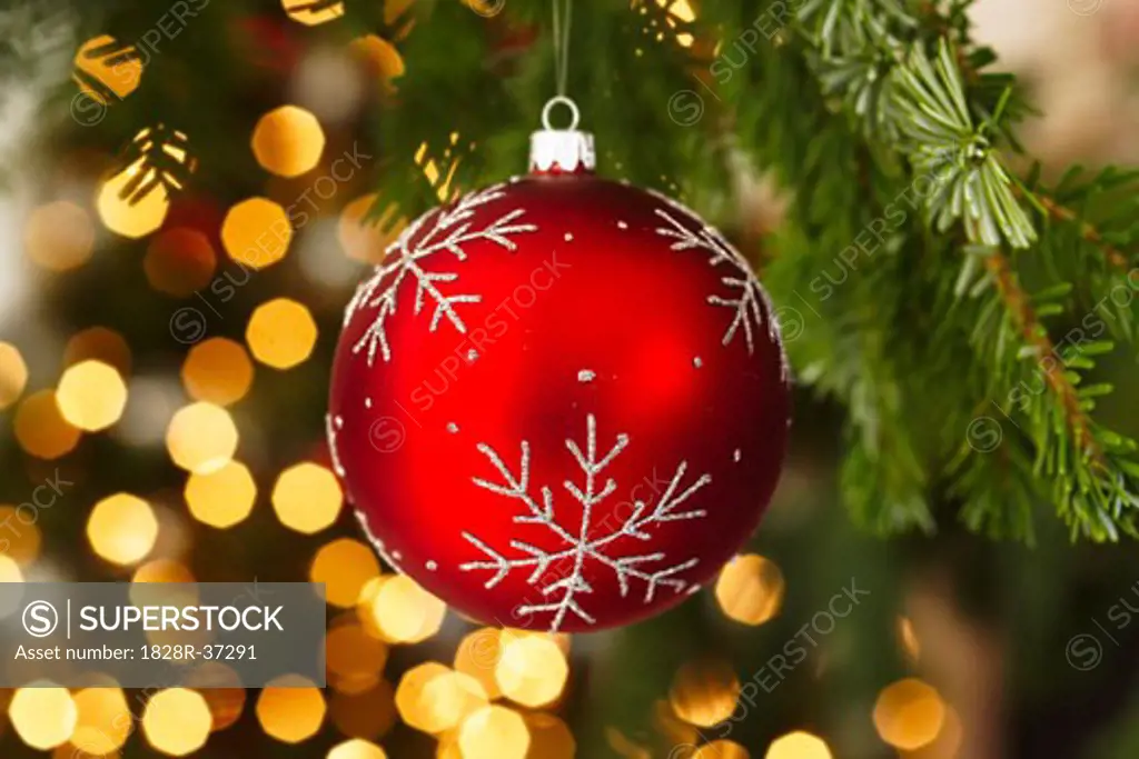 Close-up of Christmas Ornament   