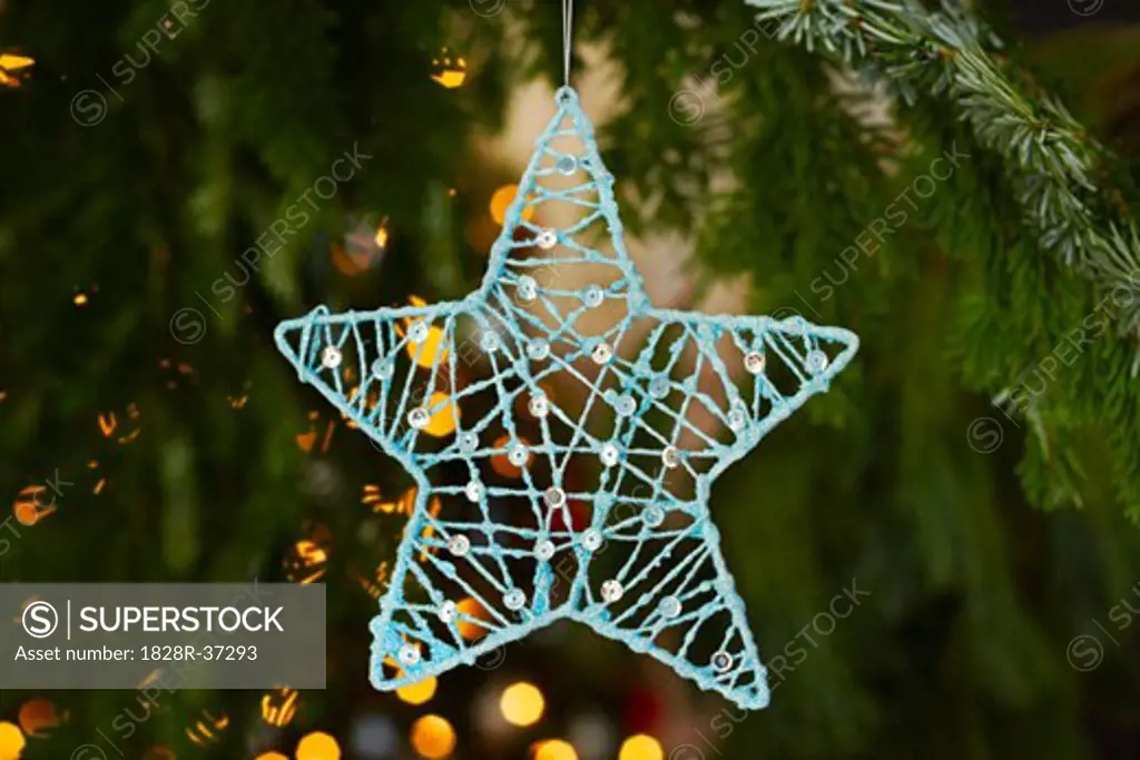 Close-up of Christmas Ornament   