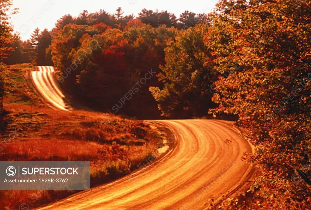 Winding Road in Autumn   