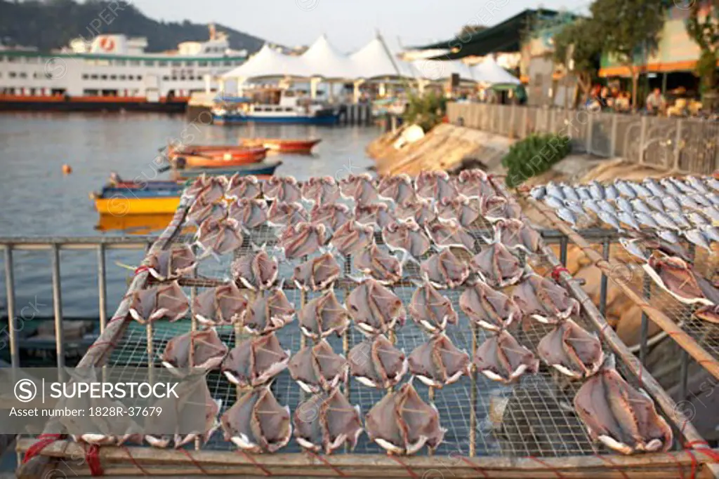 Drying Fish and Harbor, Cheung Chau Island, China   