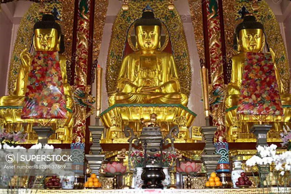 Buddha Statues, Chuk Lam Sim Yuen Monastery, New Territories, Hong Kong, China   