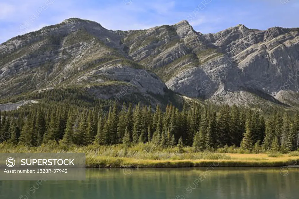 River, Forest and Mountains, Bow Valley Provincial Park, Alberta, Canada   