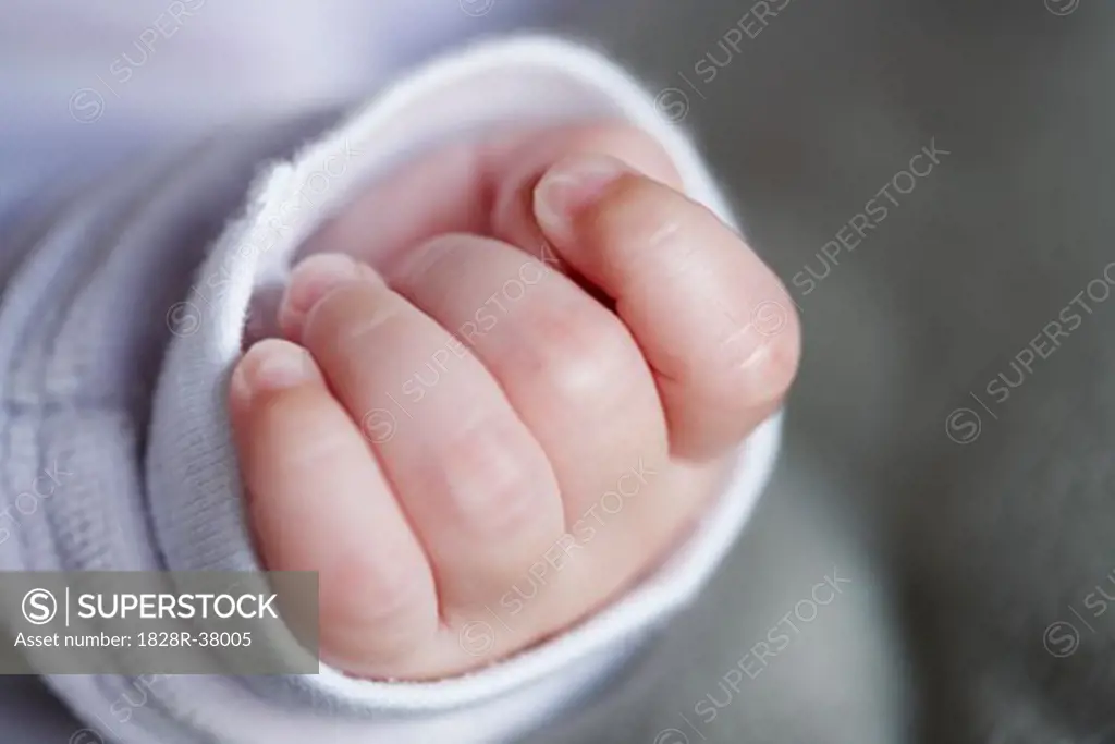 Baby's Hand   
