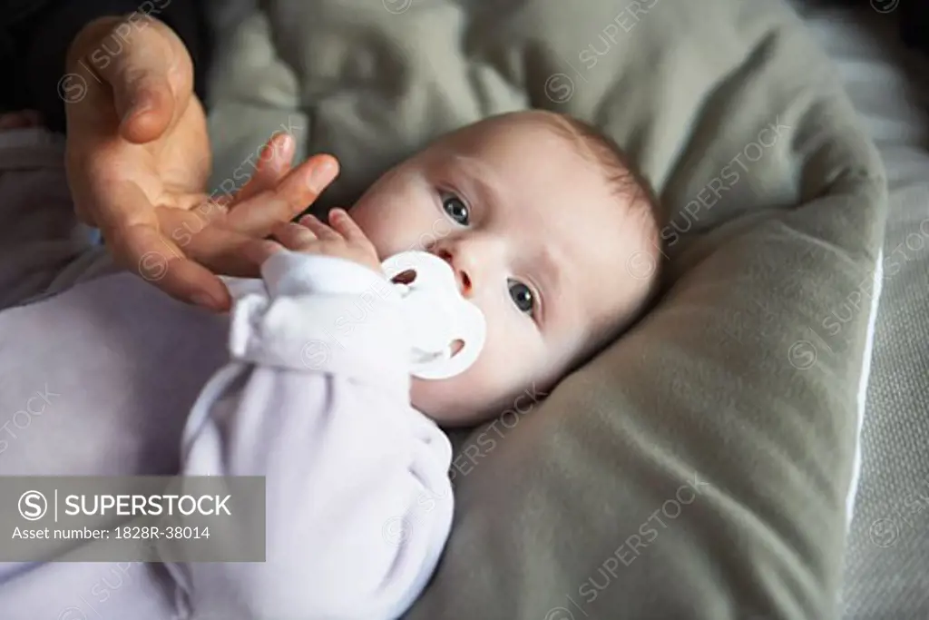 Baby Holding Adult's Hand   