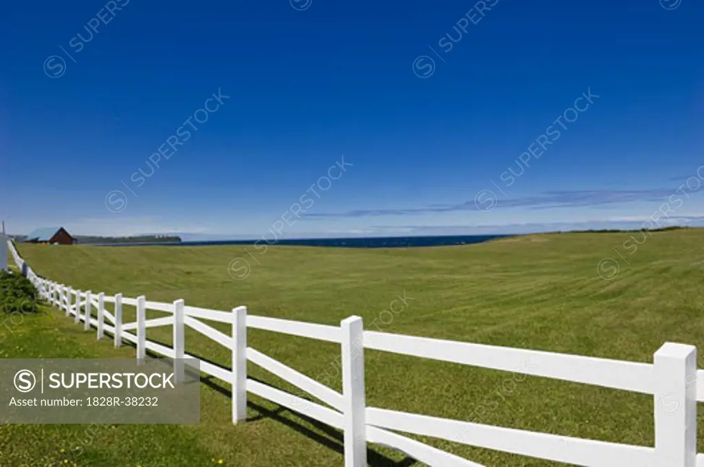 Field and White Fence, Gaspe, Quebec, Canada   