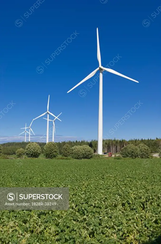 Wind Turbines, Gaspe, Quebec, Canada   