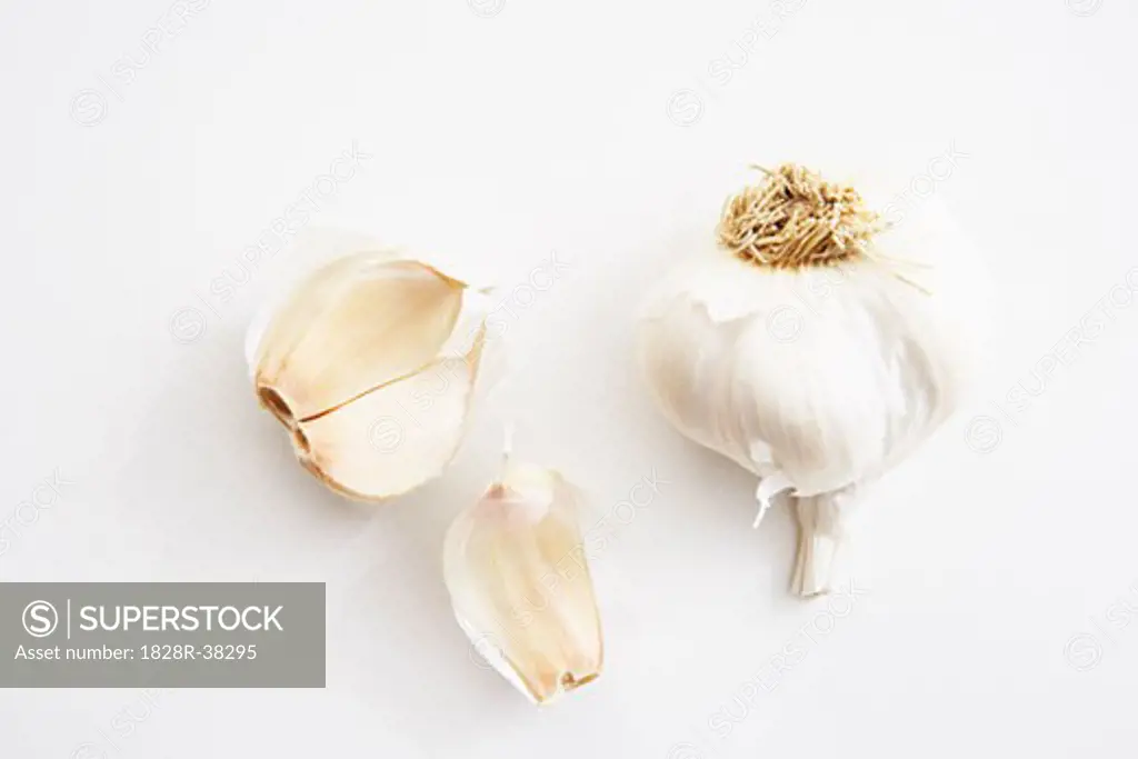 Garlic   