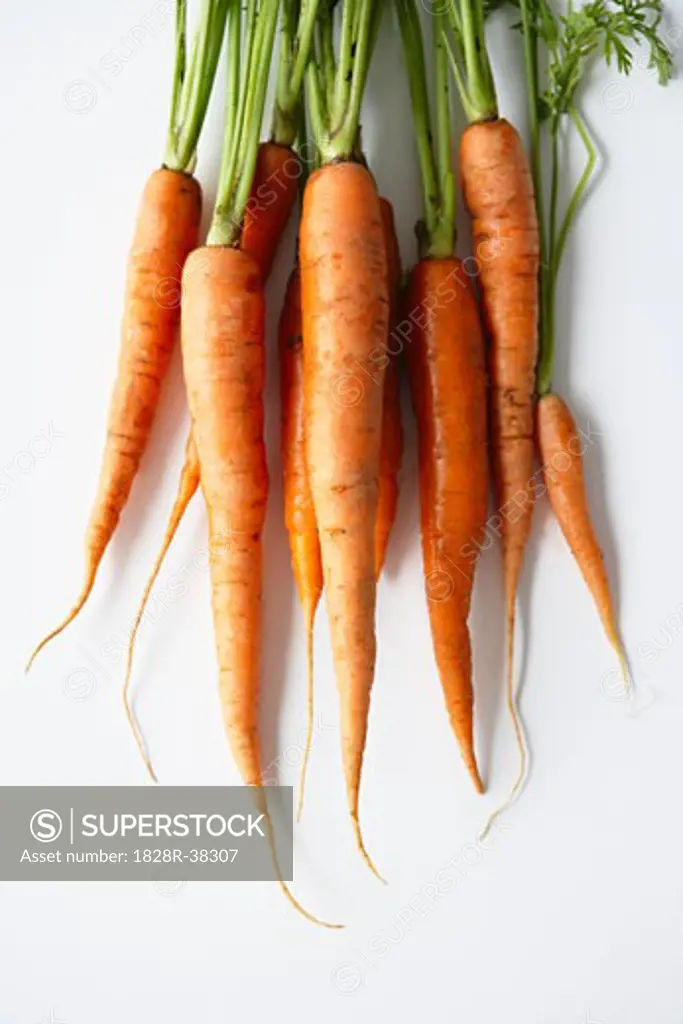 Heirloom Carrots   