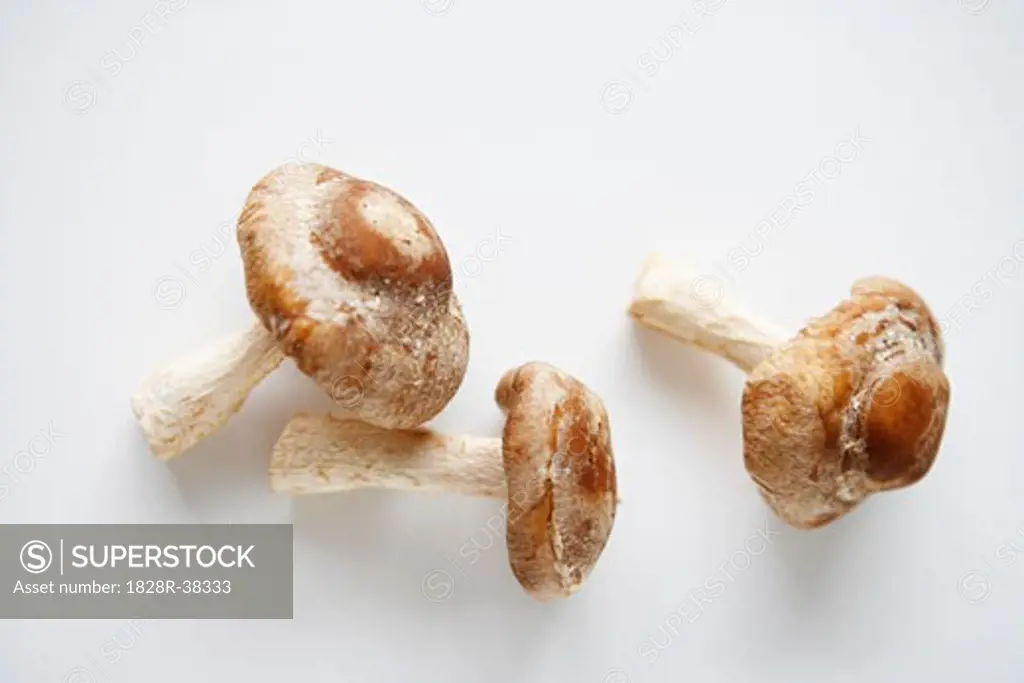Shitake Mushrooms   