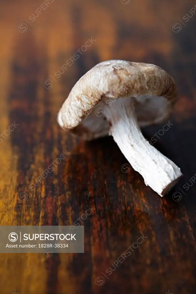 Shitake Mushroom   
