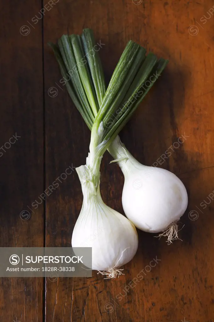 Spring Onions   