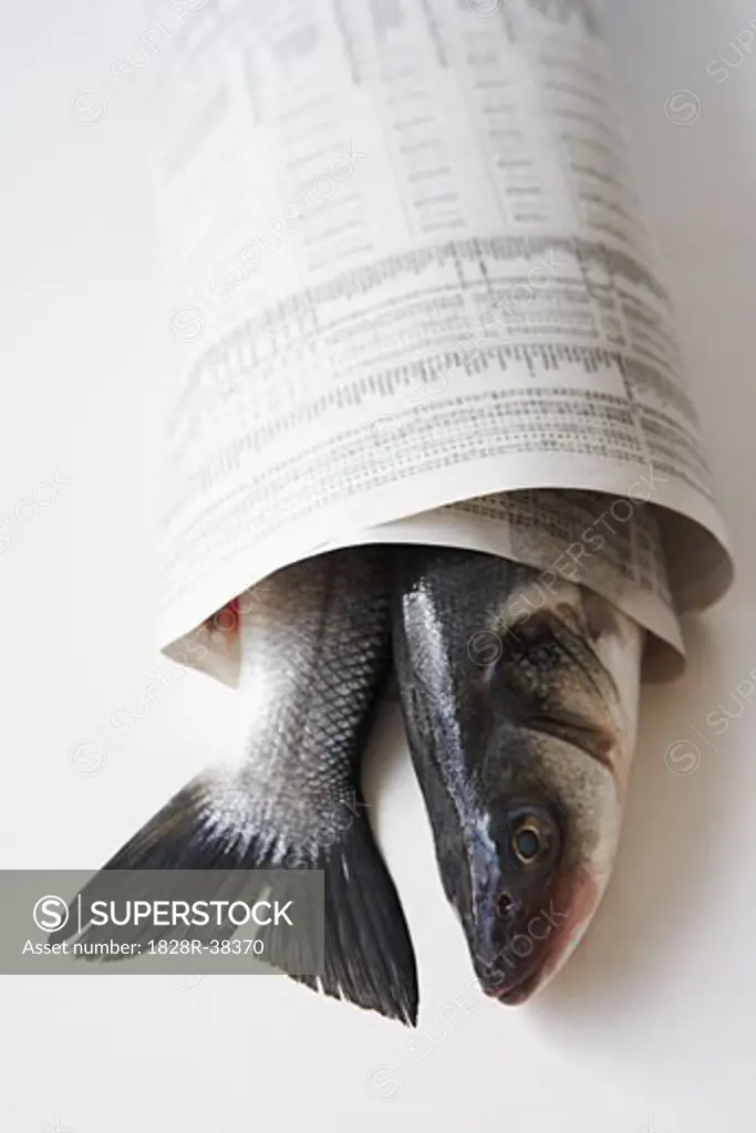 Whitefish Wrapped in Newspaper   