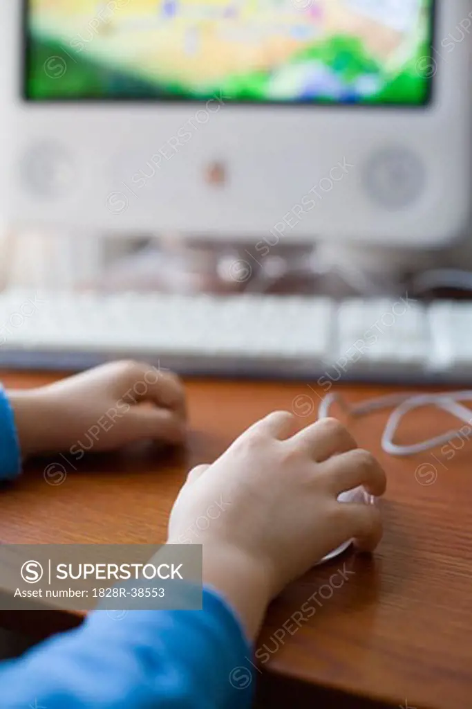 Child Using the Computer   
