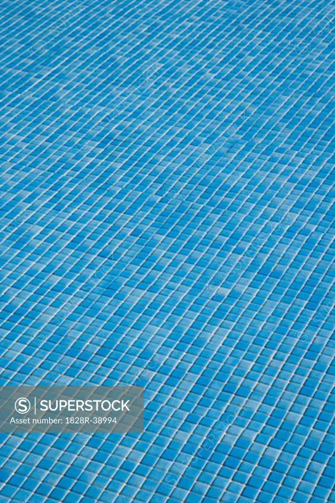 Close-up of Blue Tiles   