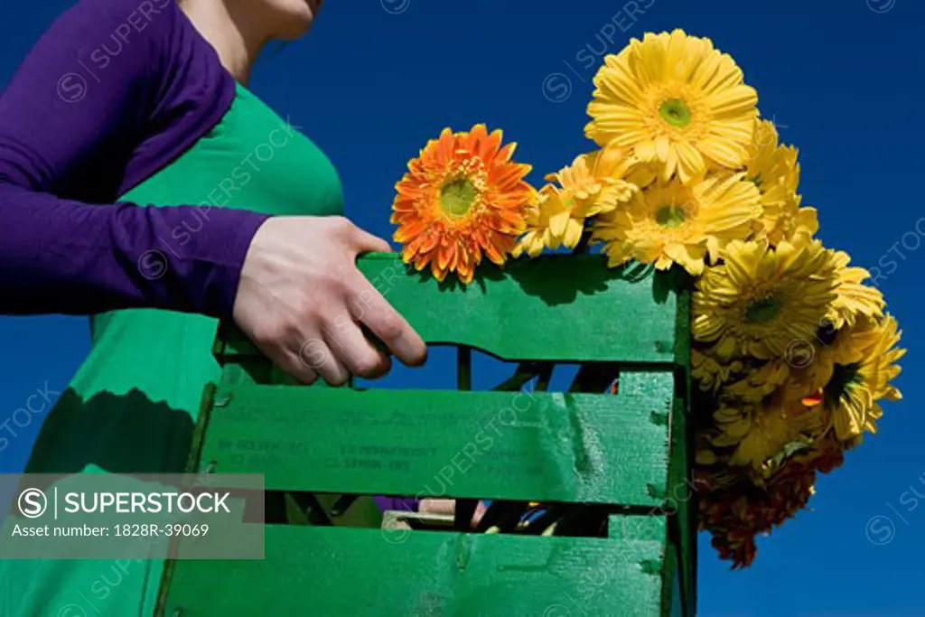 Woman Carrying Box of Flowers   
