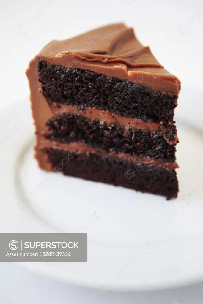 Slice of Chocolate Cake   