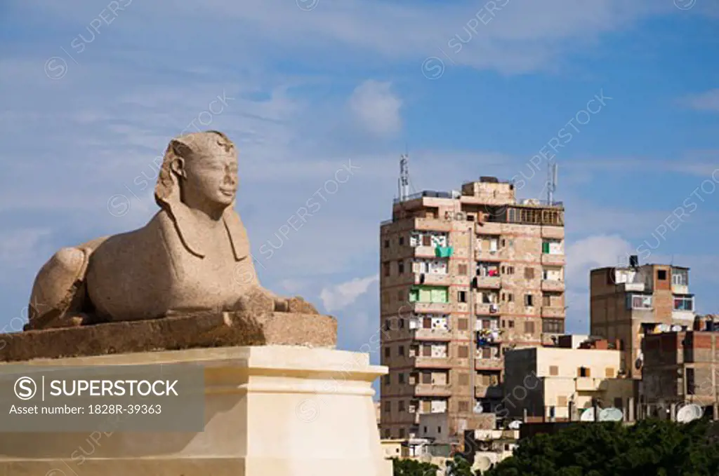 Sphinx, Buildings in Background, Alexandria, Egypt   