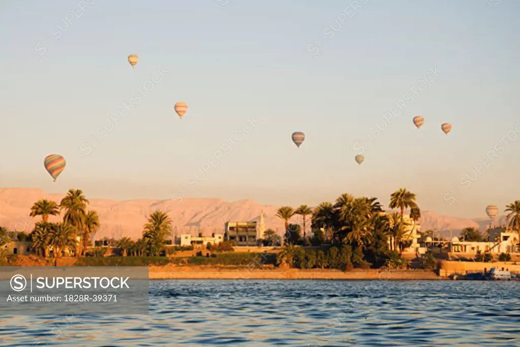 Hot Air Balloons Over Luxor, Egypt   