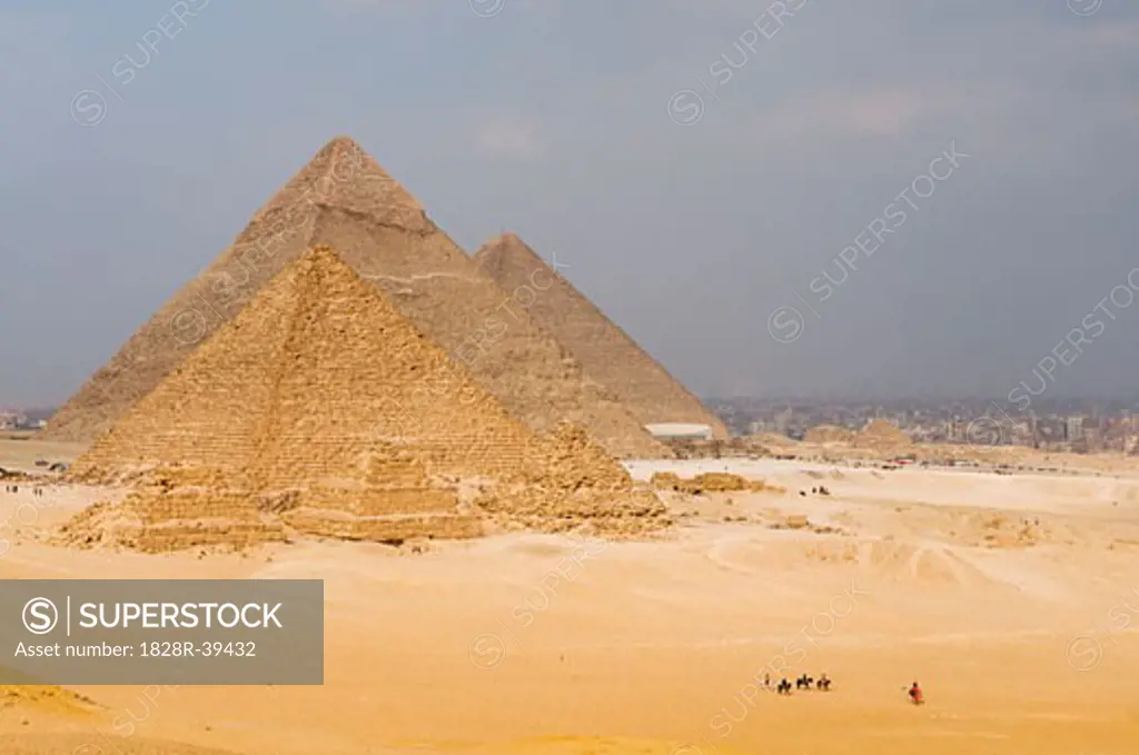 Camel Train by Pyramids, Giza, Egypt   