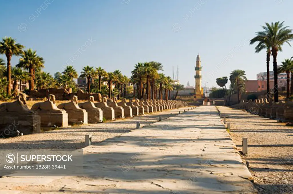 Avenue of Sphinxes, Luxor Temple, Luxor, Egypt   