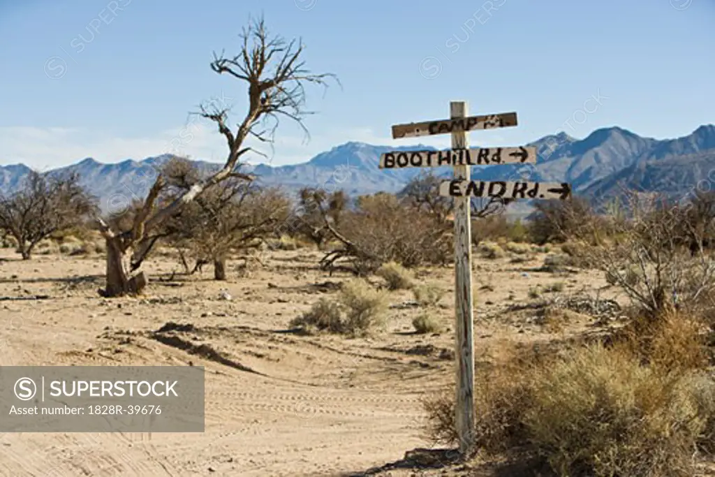 Road Signs in Desert, Nevada, USA   