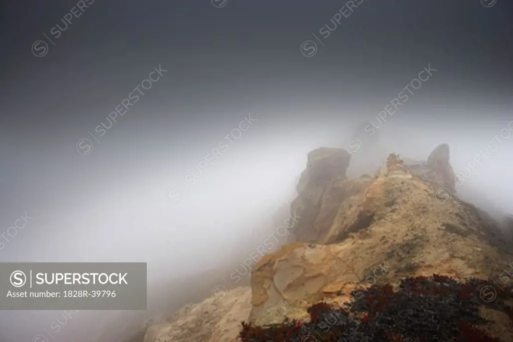 Fog Over Cliffs, North California, California, USA   