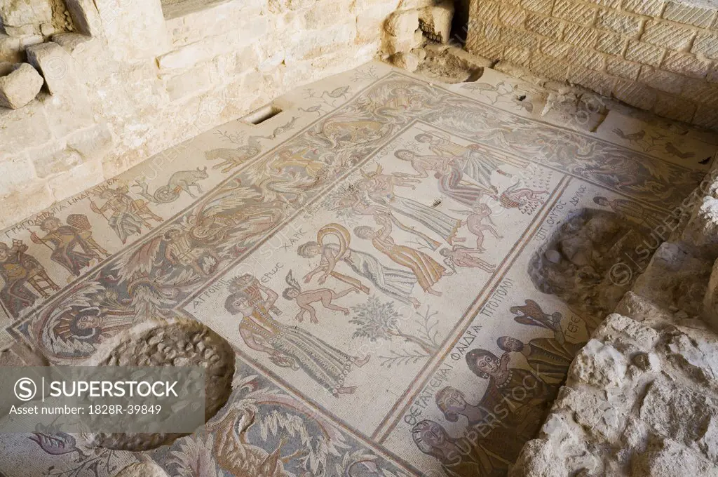 Floor Mosaic, Church of the Virgin, Madaba, Jordan   
