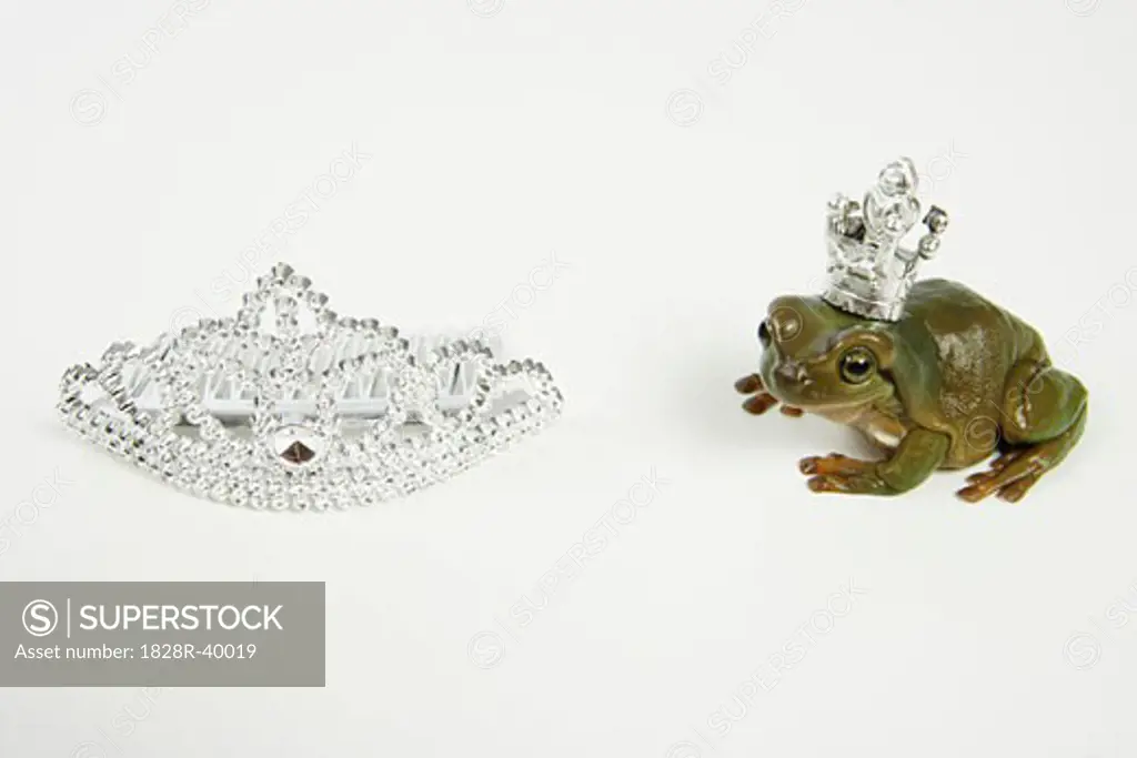 Frog Prince with Crown   