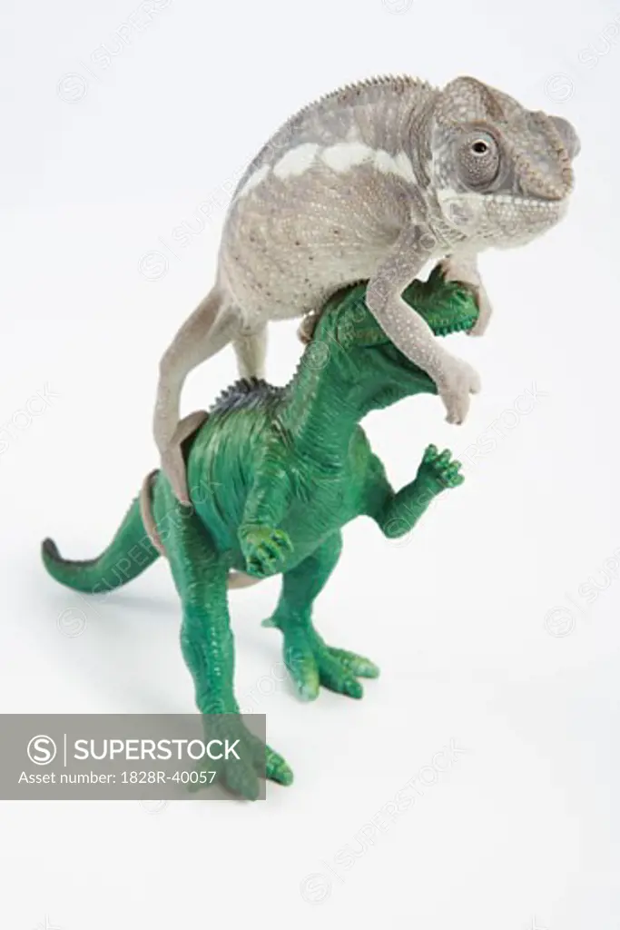 Lizard with Toy Dinosaur   