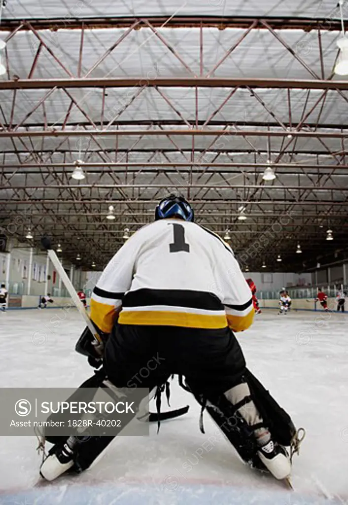 Rear View of Goalie During Hockey Game   