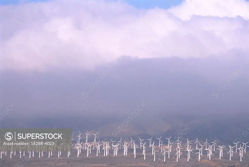 Wind Turbines and Fog California, USA   