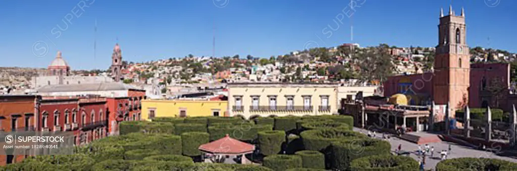 Overview of Pruned Shrubbery, The Zocalo, San Miguel de Allende, Guanjuato, Mexico   