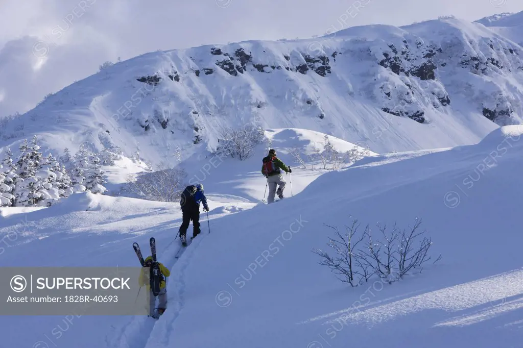 Backcountry Skiers Ascending Hill, Furano, Hokkaido, Japan   