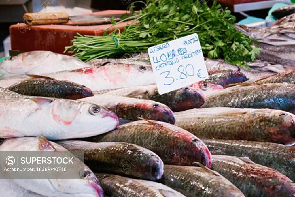 Seafood on Display, Santa Catarina Market, Barcelona, Catalunya, Spain   