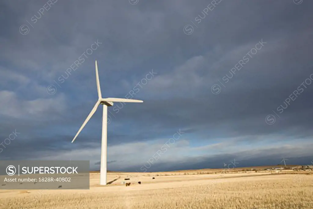 Wind Turbine in Field   