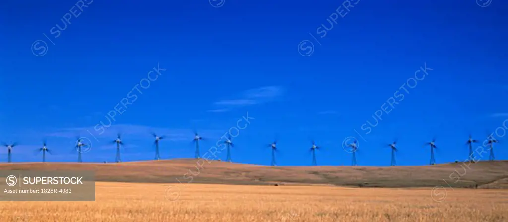 Row of Wind Turbines on Hill, Cowley Ridge, Alberta, Canada   