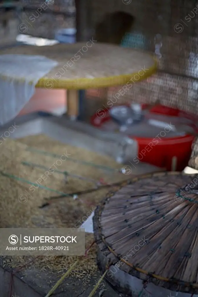 Making Ricepaper, Mekong Delta, Vietnam   